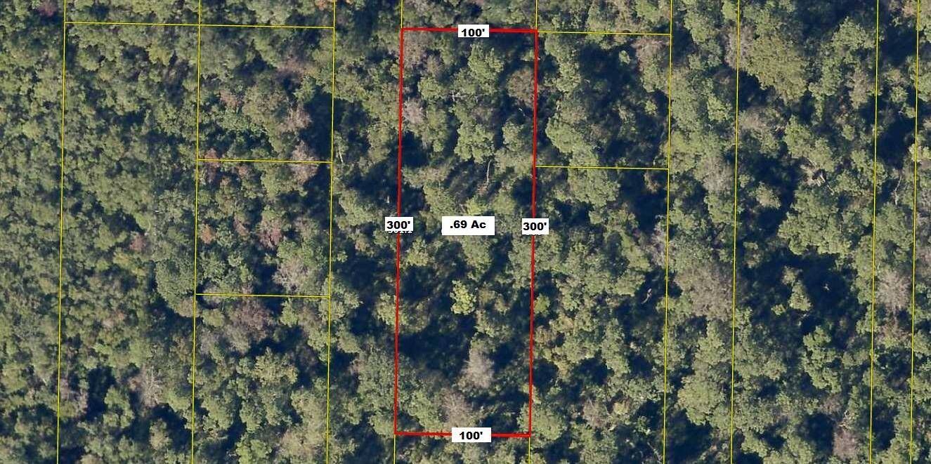 Defuniak Springs, FL 32433,55-66 Pineapple Avenue