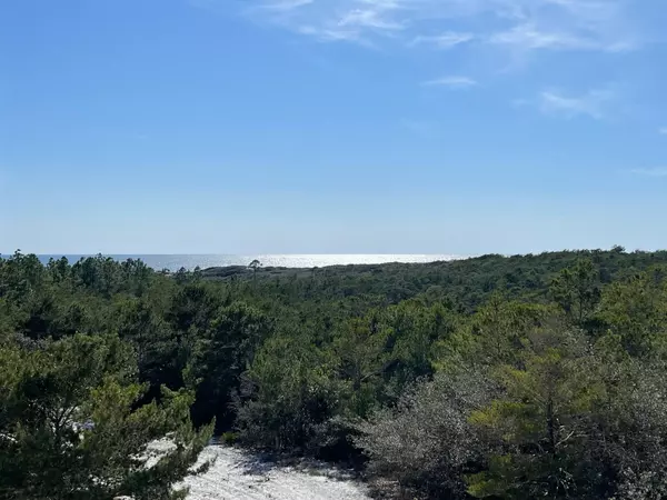 Santa Rosa Beach, FL 32459,399 Cypress Drive