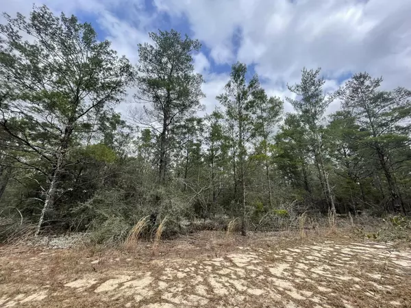 Defuniak Springs, FL 32433,Lot 3 W Iris Lane