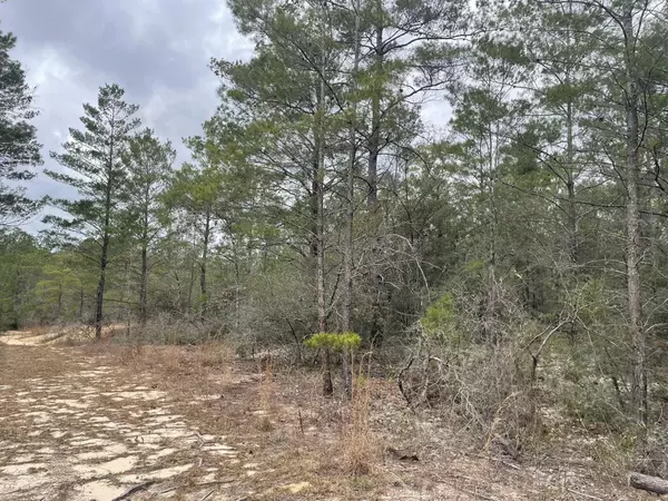 Lot 3 W Iris Lane, Defuniak Springs, FL 32433