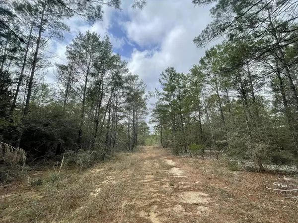 Defuniak Springs, FL 32433,Lot 3 W Iris Lane