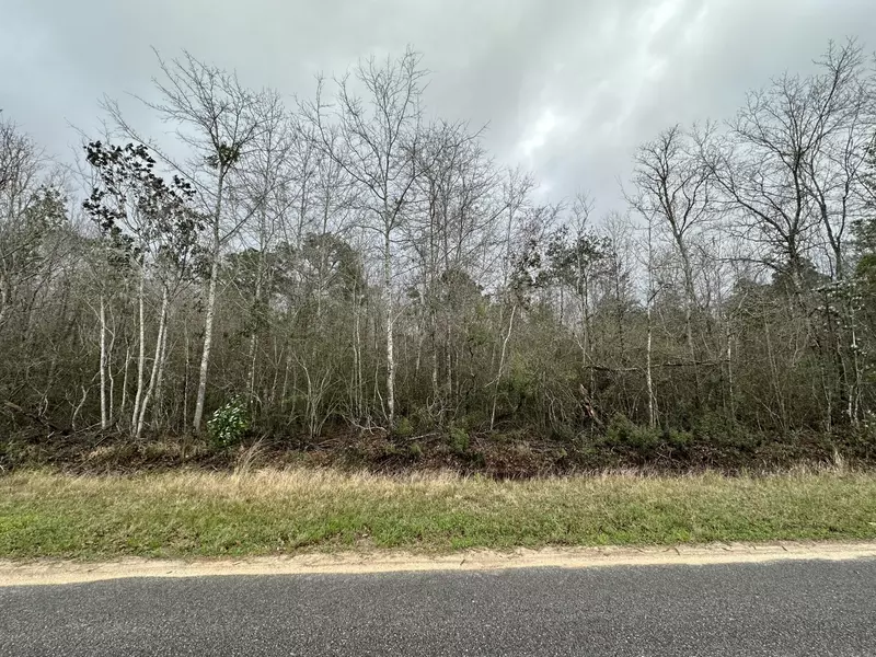 TBD Black Oak Road, Milton, FL 32583