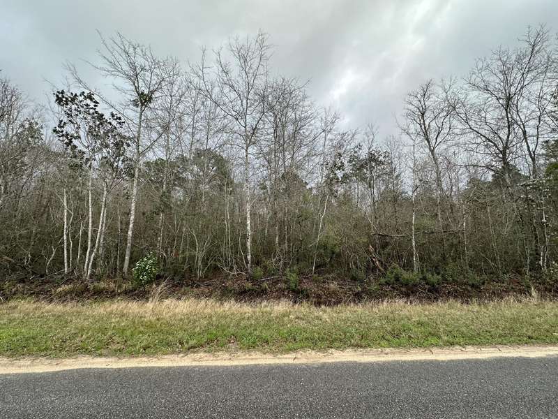 TBD Black Oak Road, Milton, FL 32583