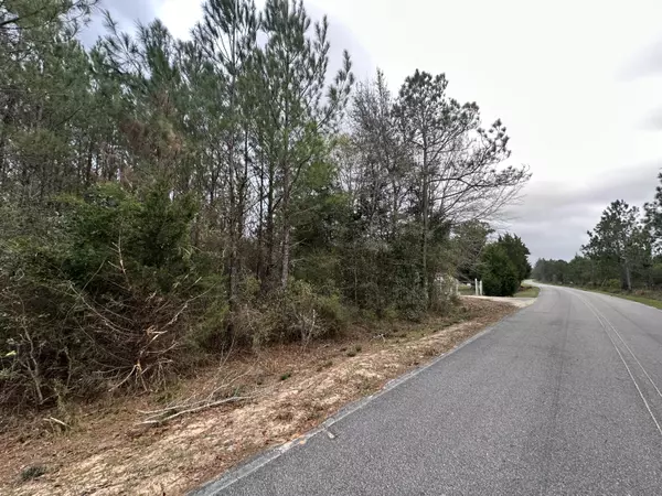 Vernon, FL 32462,Tract#6431 W Parrish Still Road