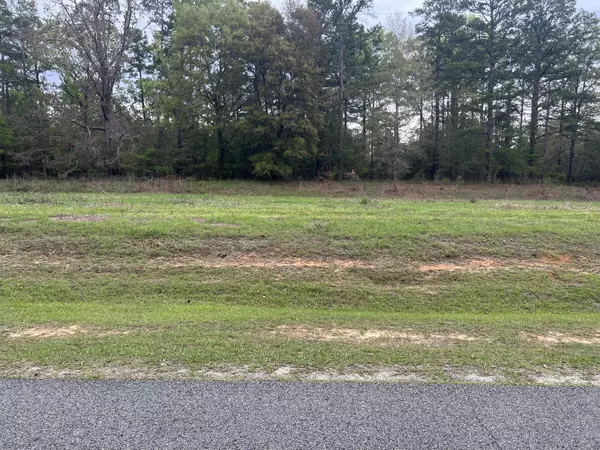 Other, FL,12+ Acres Leigh Reid Road