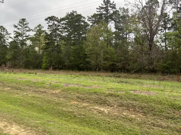 Other, FL,12+ Acres Leigh Reid Road