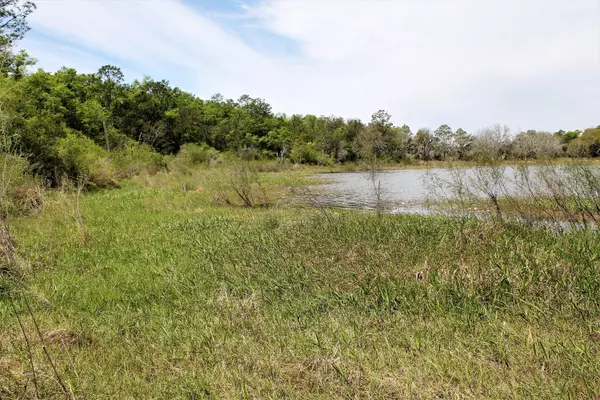 Southport, FL 32409,TBD Little Blue Lane  #Parcel C