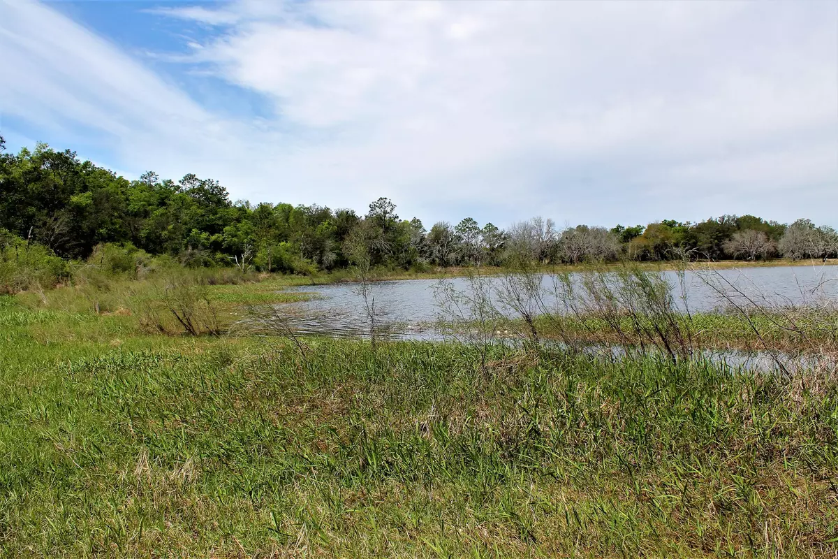 Southport, FL 32409,TBD Little Blue Lane  #Parcel C