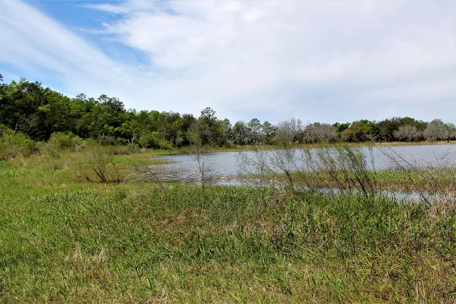 TBD Little Blue Lane  #Parcel D, Southport, FL 32409