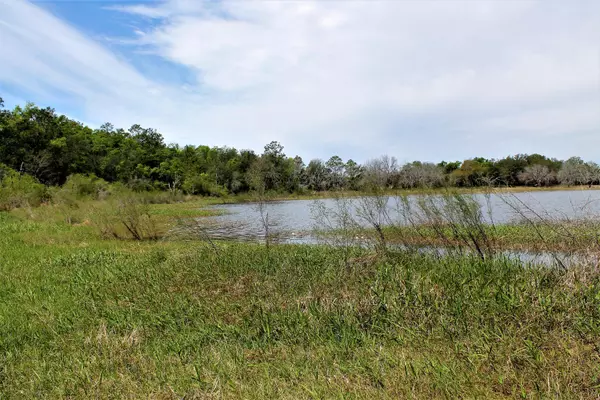 TBD Little Blue Lane  #Parcel E, Southport, FL 32409