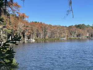 Ponce De Leon, FL 32455,lot 15&16 Blue Pond Circle