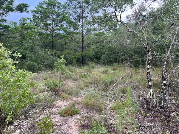 Defuniak Springs, FL 32433,Lot 37 W Juniper Avenue