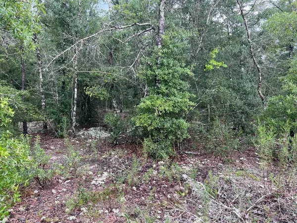 Defuniak Springs, FL 32433,Lot 37 W Juniper Avenue