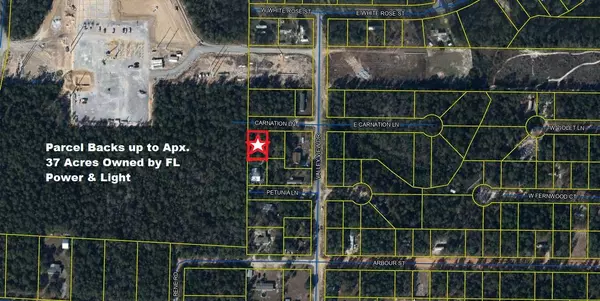 Defuniak Springs, FL 32433,Lot 4 Carnation Lane