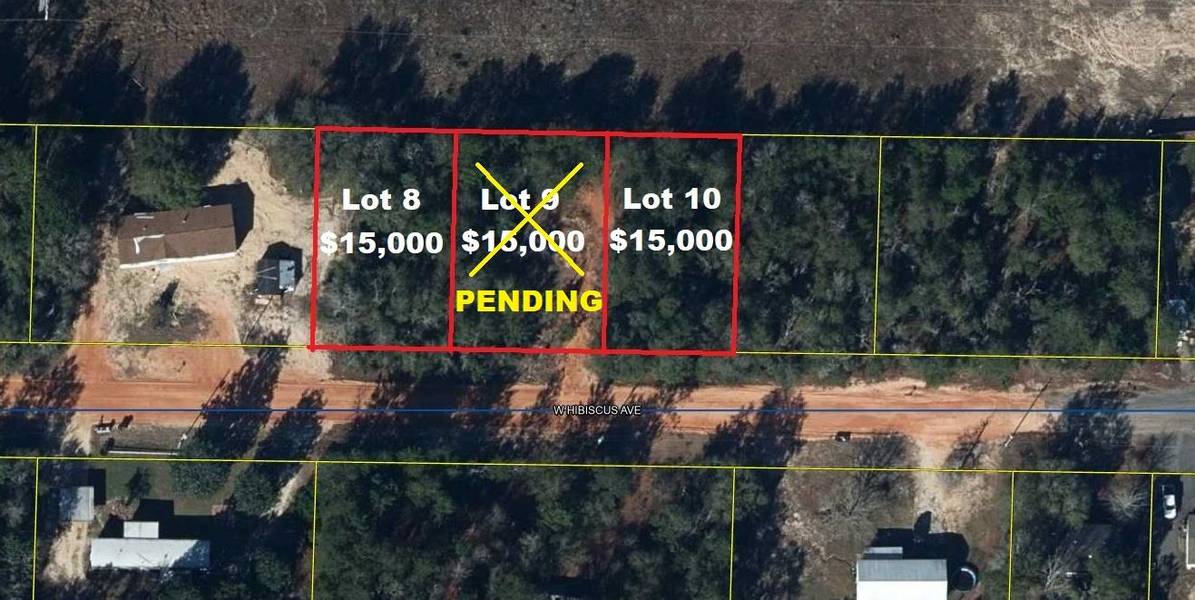 Lot 8 W Hibiscus Avenue, Defuniak Springs, FL 32433