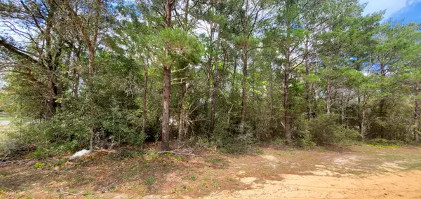 Defuniak Springs, FL 32433,LOT 32 VALLEY VIEW BLVD