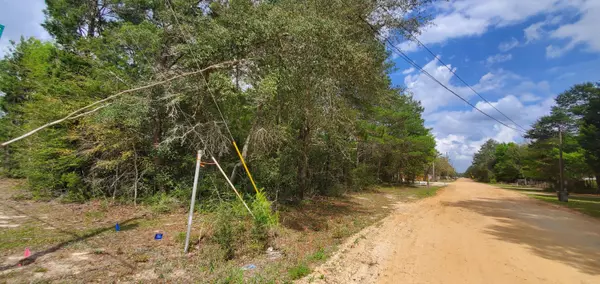 Defuniak Springs, FL 32433,LOT 32 VALLEY VIEW BLVD