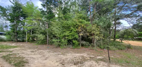 Defuniak Springs, FL 32433,LOT 32 VALLEY VIEW BLVD