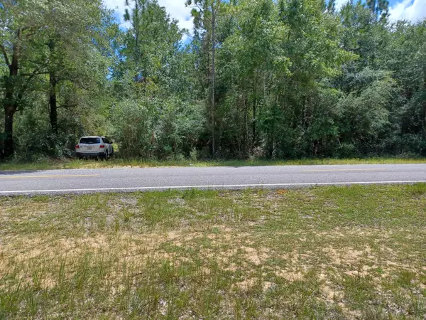 Holt, FL 32564,1022 Trawick Creek Road