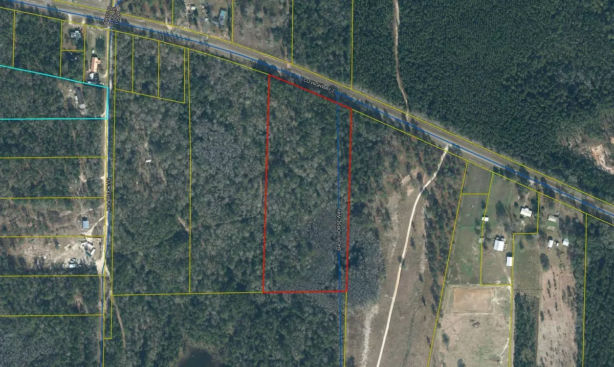 Laurel Hill, FL 32567,12 Acres Co Hwy 2