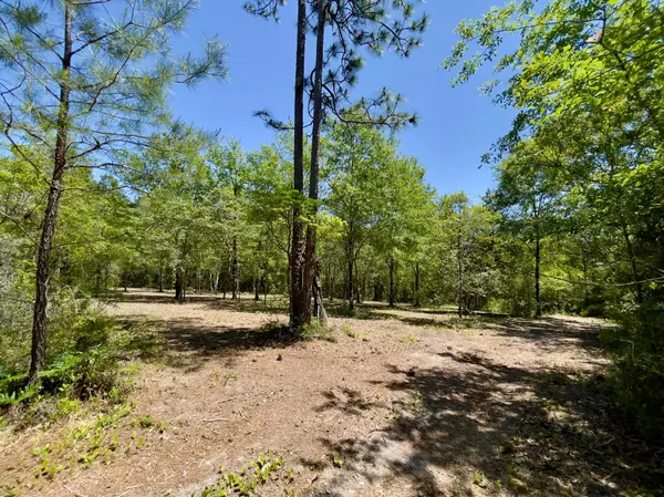 Laurel Hill, FL 32567,12 Acres Co Hwy 2