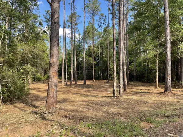 Defuniak Springs, FL 32433,.49 acre E Michaelangelo Road