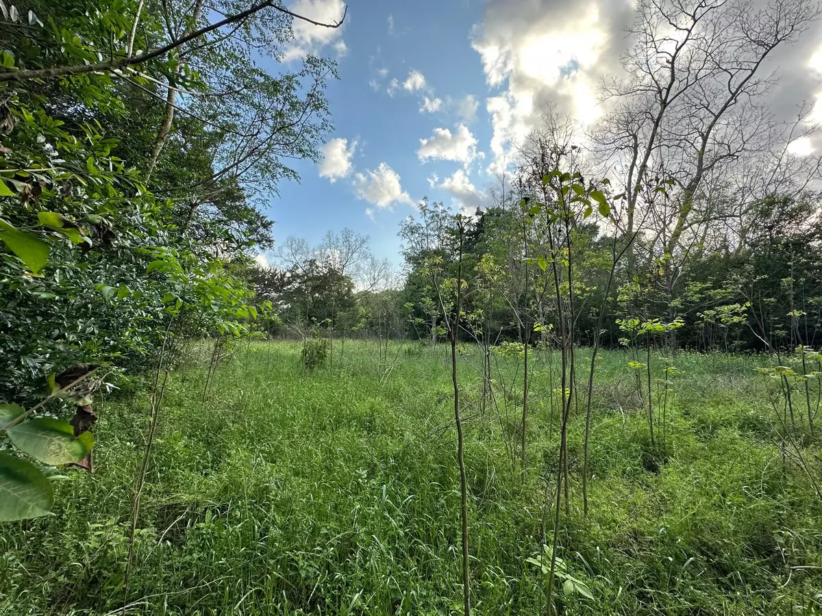 Crestview, FL 32536,3+/- AC Adams Road