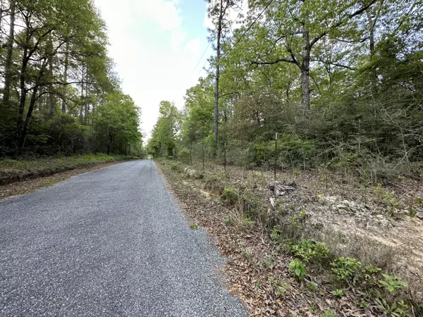 Crestview, FL 32536,3+/- AC Adams Road