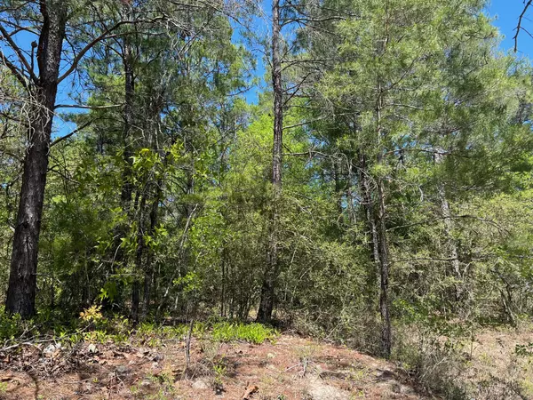 Crestview, FL 32539,1.25 Ac Fawn Lake Road