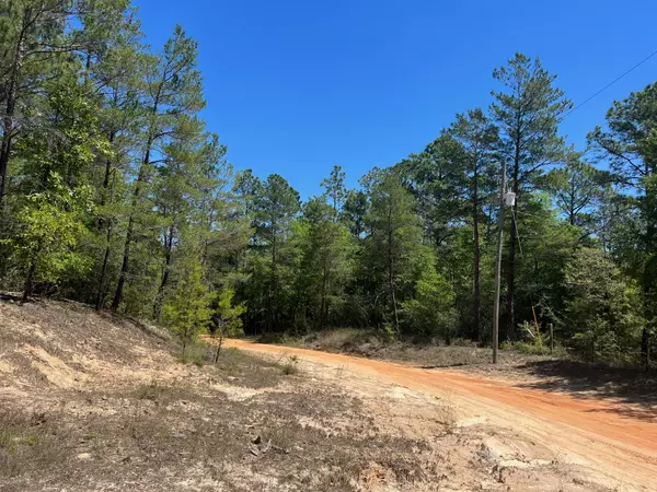 Crestview, FL 32539,1.25 Ac Fawn Lake Road