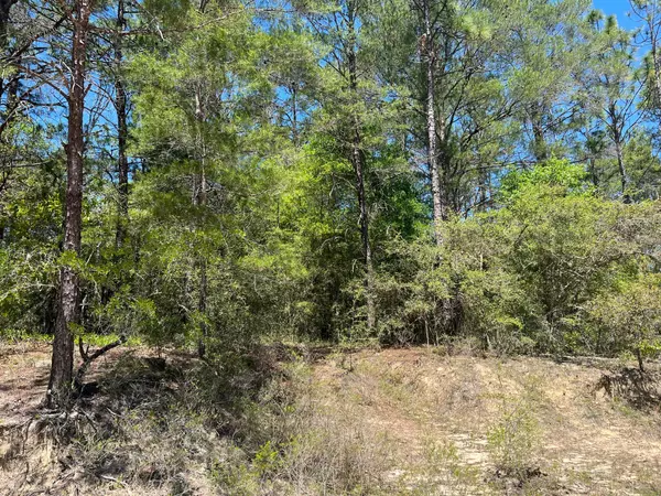 Crestview, FL 32539,1.25 Ac Fawn Lake Road