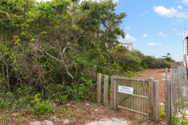 Santa Rosa Beach, FL 32459,110 Montigo Avenue