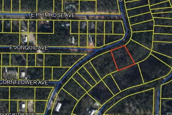 Defuniak Springs, FL 32433,LOT 35&36 Clearwater Drive