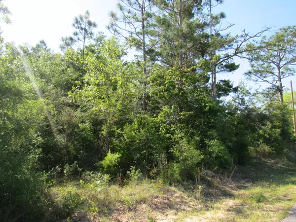 Defuniak Springs, FL 32433,000 E Howlin Road  #LOT 7