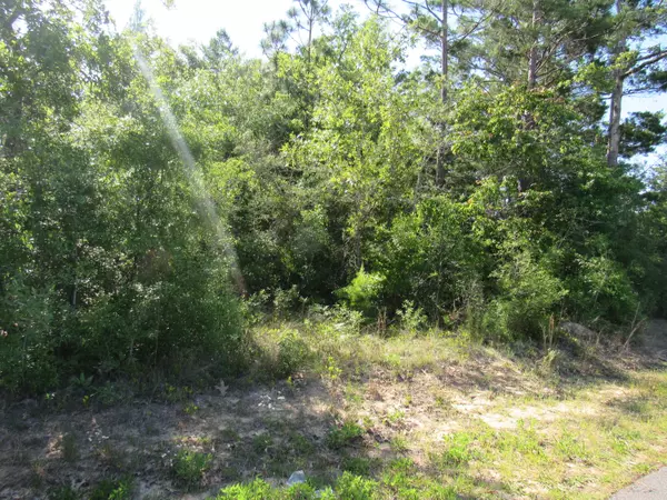 Defuniak Springs, FL 32433,000 E Howlin Road  #LOT 7