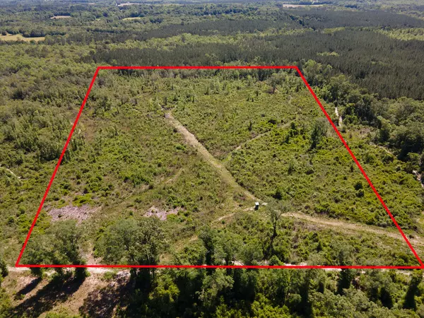 000 Andrews Road  #40 ACRES,  Westville,  FL 32464