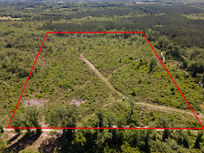 000 Andrews Road  #40 ACRES, Westville, FL 32464