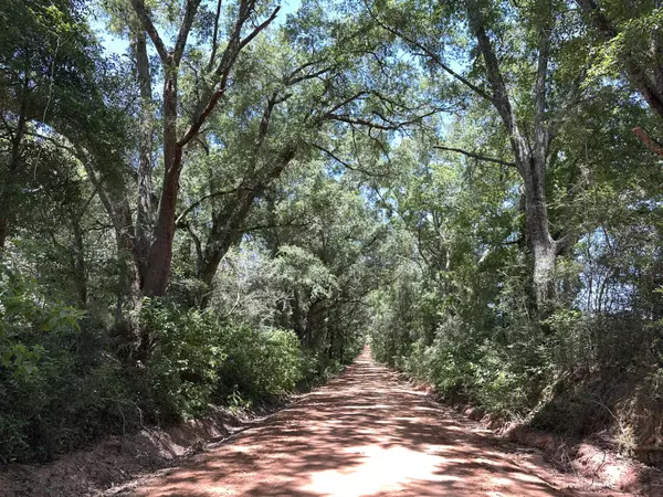 Laurel Hill, FL 32567,10+/-Acres Frost Lane  #A