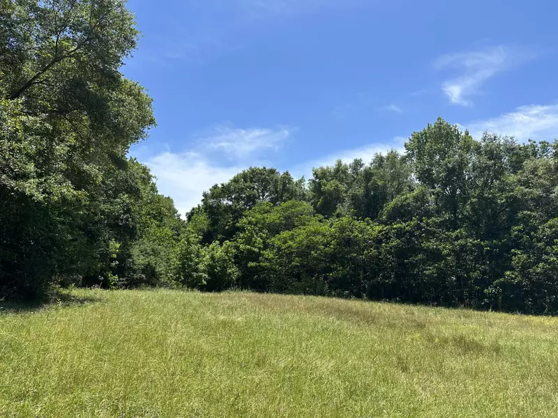 10+/-Acres Frost Lane  #A, Laurel Hill, FL 32567