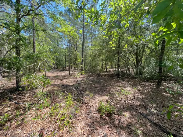 Defuniak Springs, FL 32433,Lot 6 Willow Bend Drive