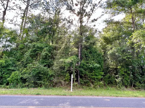 Defuniak Springs, FL 32435,.45 Acre Teelinville Drive