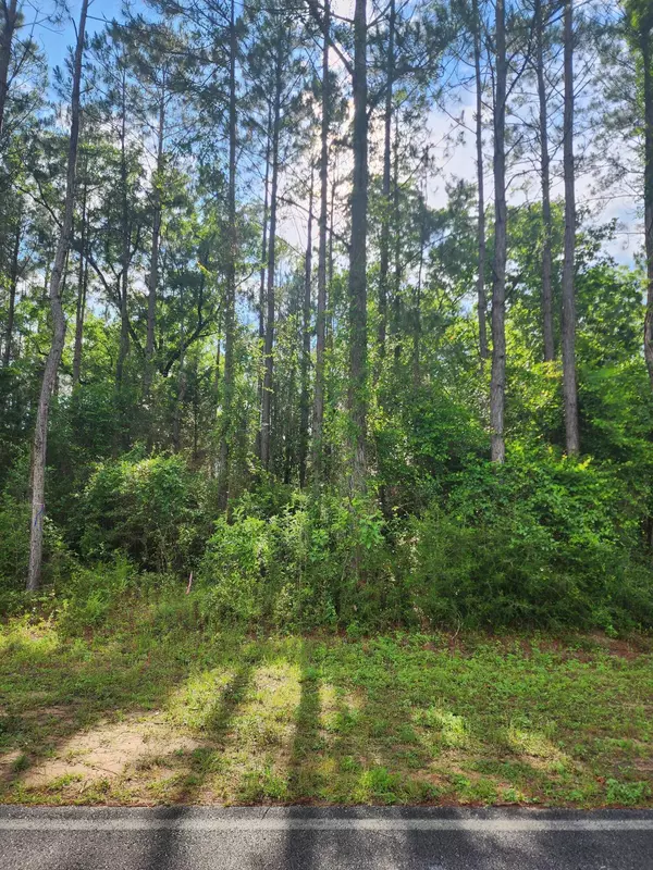 Laurel Hill, FL 32567,Parcel 3 Long Road