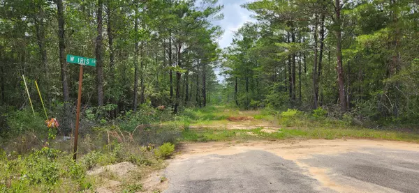 Defuniak Springs, FL 32433,Lot 9 W Iris Lane