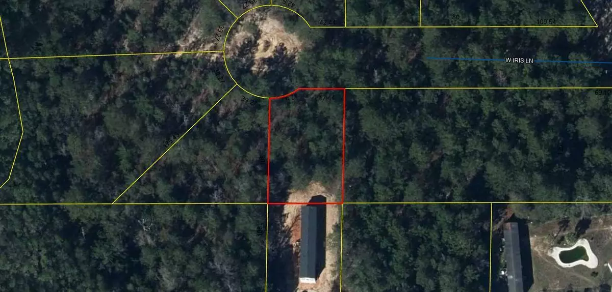 Defuniak Springs, FL 32433,Lot 9 W Iris Lane