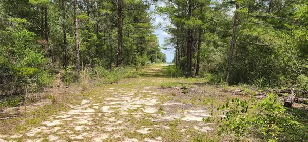 Defuniak Springs, FL 32433,Lot 9 W Iris Lane