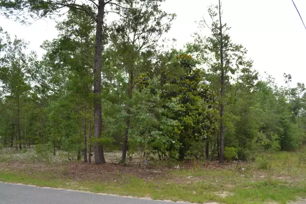 Defuniak Springs, FL 32433,00 E Raphael Road