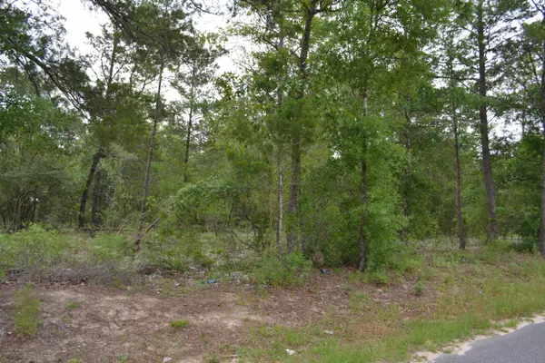 Defuniak Springs, FL 32433,00 E Raphael Road