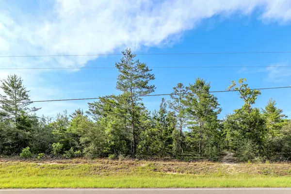 Defuniak Springs, FL 32433,000 Woodlands Boulevard  #Lot 20