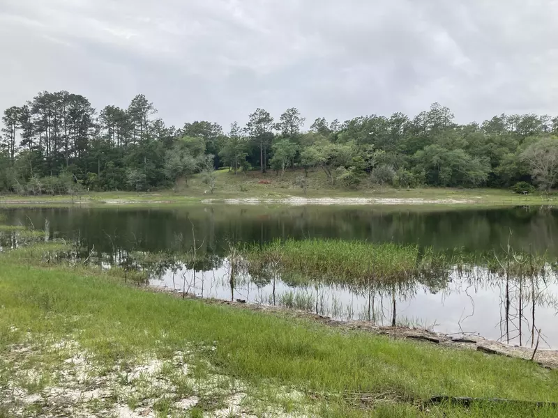 TBD Payne Lake Rd., Chipley, FL 32428