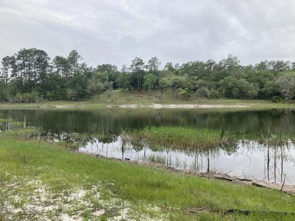 TBD Payne Lake Rd.,  Chipley,  FL 32428